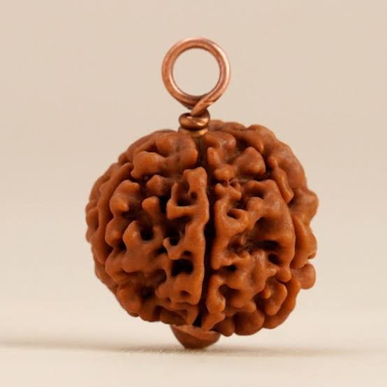 7 Mukhi