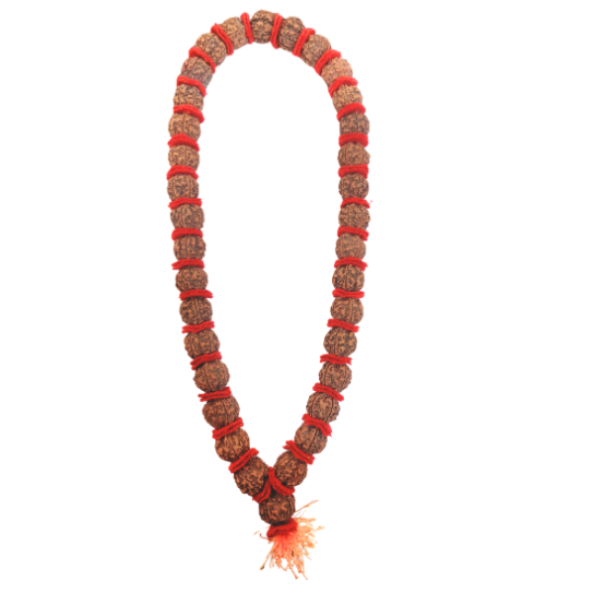 5 Mukhi Nepali Rudraksha Kantha Mala