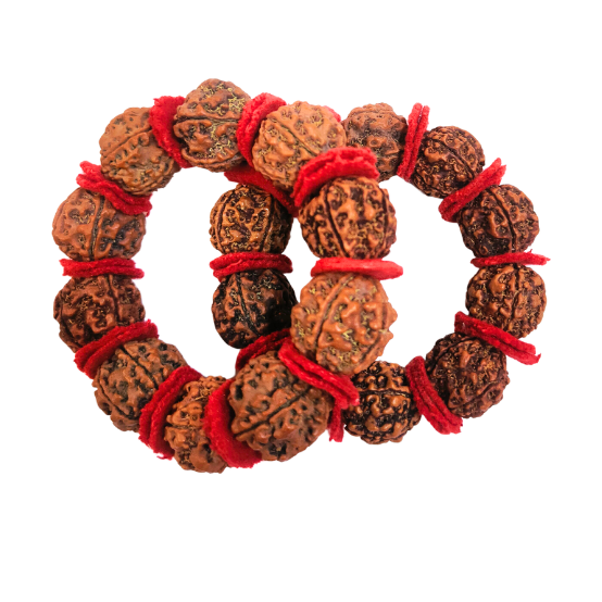 5 Mukhi Nepali Rudraksha Bracelet