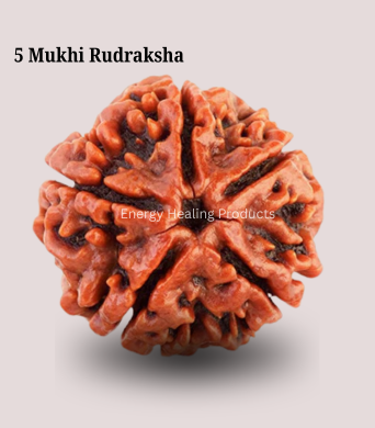 Panchmukhi Nepali Rudraksha