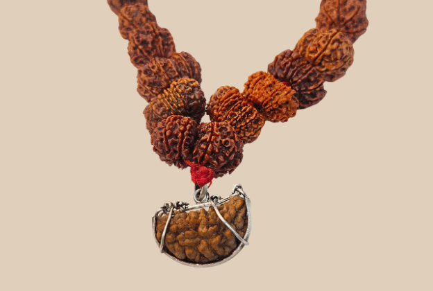 Siddha Mala – Ultimate Healing & Protection Rudraksha